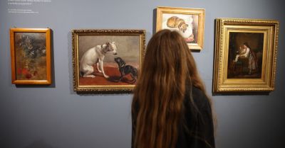 Opowieść o relacjach ludzi i zwierząt w mieście przedstawiono na wystawie Muzeum Krakowa